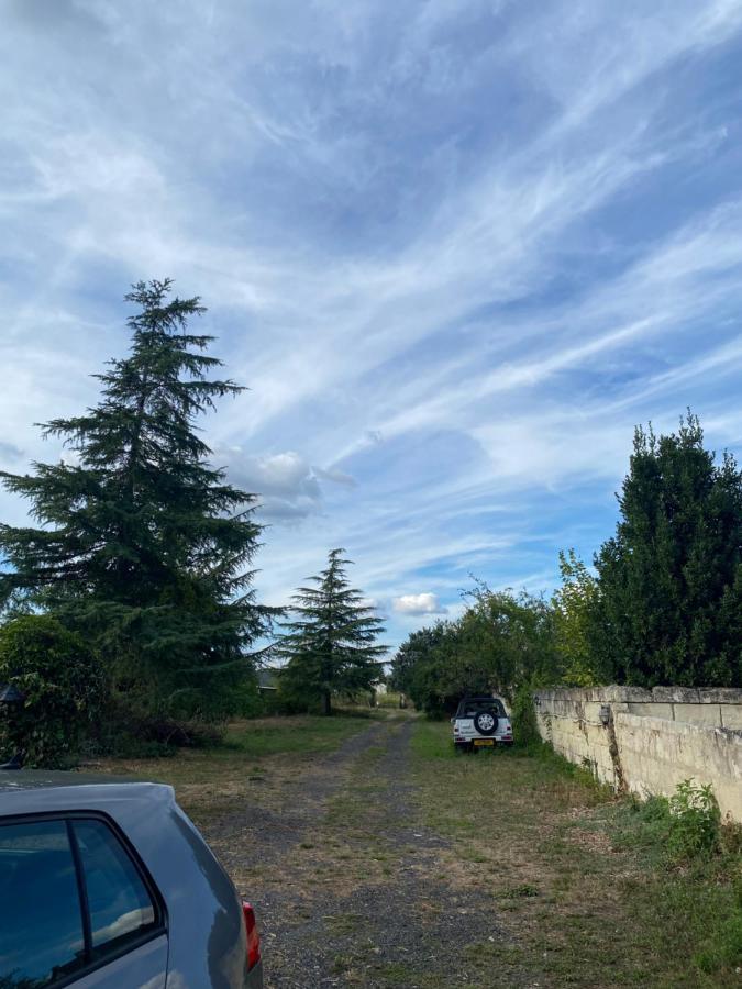 Gites De La Levee Chouze-sur-Loire ภายนอก รูปภาพ